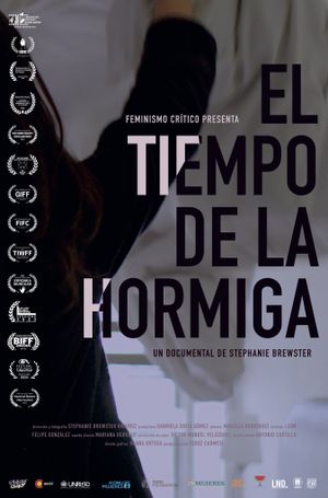 El tiempo de la hormiga's poster