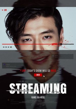 Streaming's poster