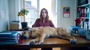 Dog on Trial's poster