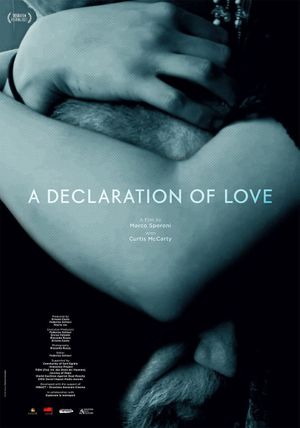 A Declaration of Love's poster