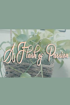 A Flash Of Passion's poster