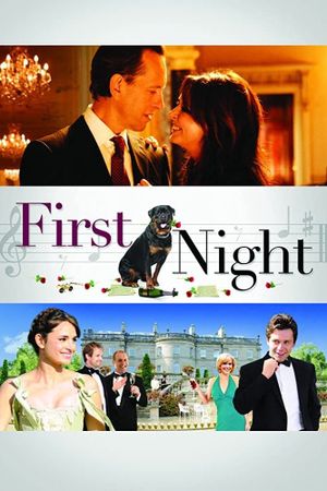 First Night's poster image