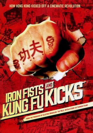 Iron Fists and Kung Fu Kicks's poster