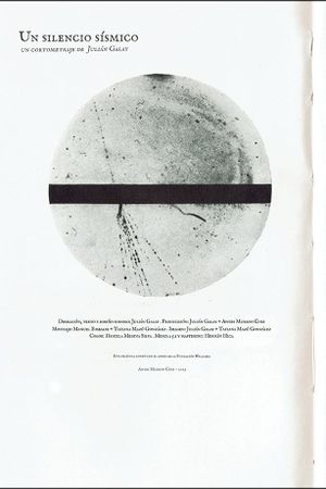 A seismic silence's poster