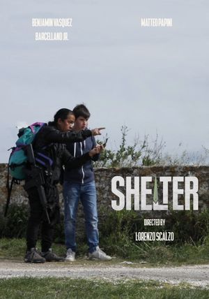 Shelter's poster