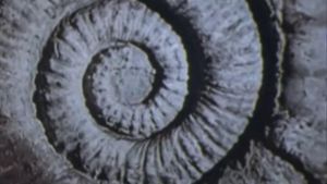 Vernadsky's Law's poster