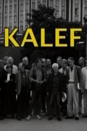 A kalef (A Moszkva téri galeri)'s poster