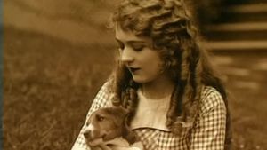 Mary Pickford: A Life on Film's poster