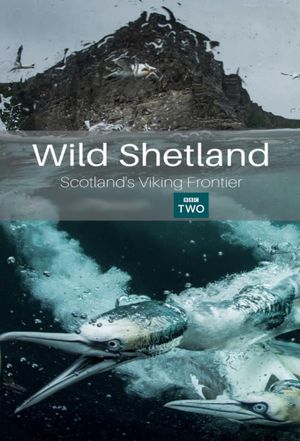 Wild Shetland: Scotland's Viking Frontier's poster