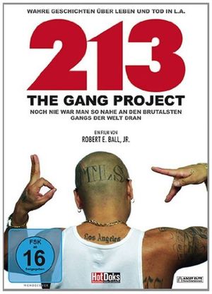 213 - The Gang Project's poster image