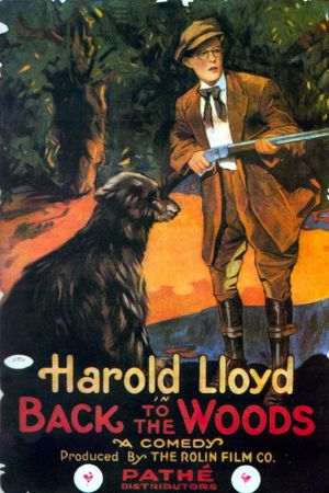 Back to the Woods's poster