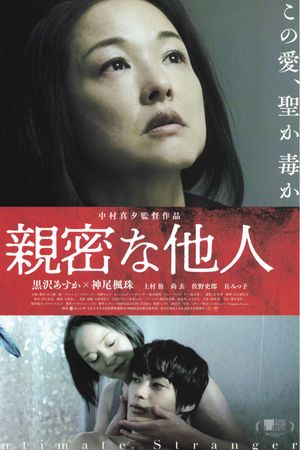 Intimate Stranger's poster