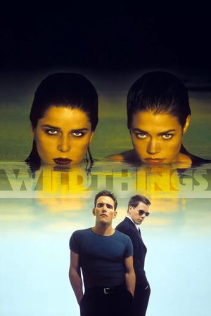 Wild Things's poster