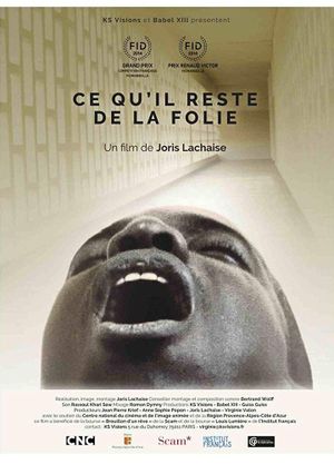 Ce qu'il reste de la folie's poster