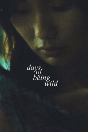 Days of Being Wild's poster