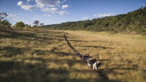 Into the Okavango's poster