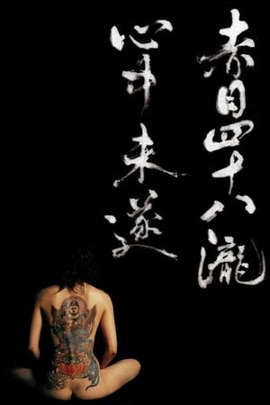 Akame 48 Waterfalls's poster
