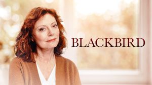 Blackbird's poster