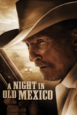 A Night in Old Mexico's poster image
