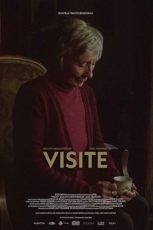 Visit's poster