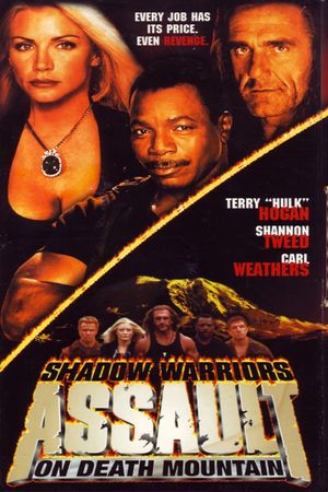 Assault on Death Mountain's poster
