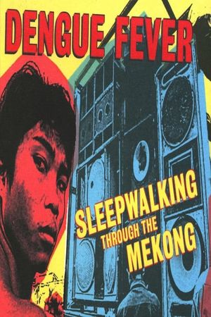 Sleepwalking Through the Mekong's poster