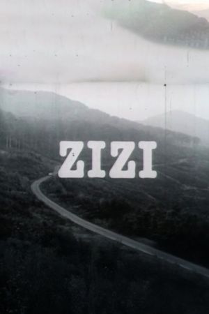 Zizi's poster