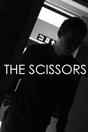 The Scissors's poster