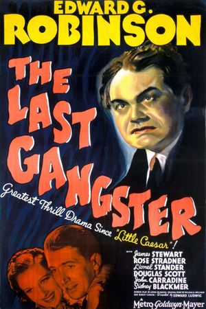 The Last Gangster's poster