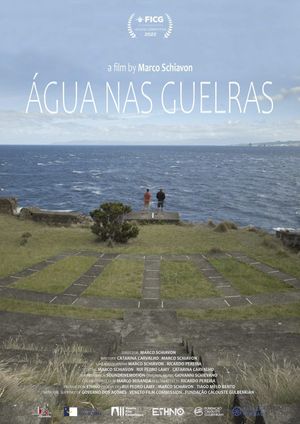 Água nas guelras's poster image