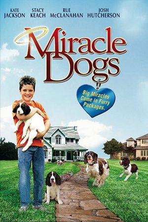Miracle Dogs's poster