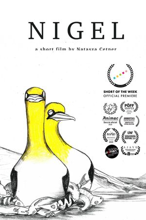 Nigel's poster