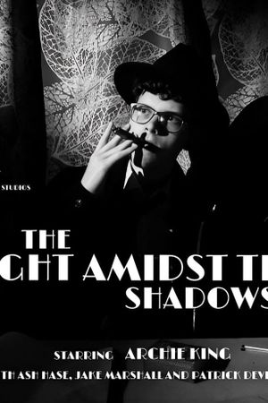 The Light Amidst The Shadows's poster