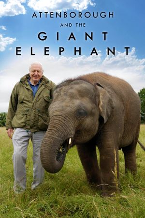 Attenborough and the Giant Elephant's poster