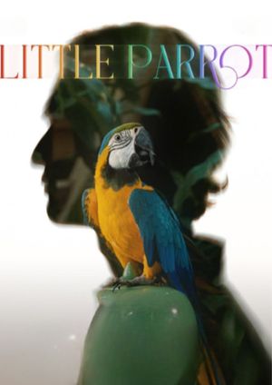 Little Parrot's poster
