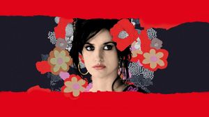 Volver's poster