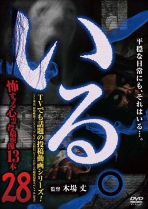 「Iru.」~ Kowasugiru Tōkō Eizō 13-hon ~ Vol.28's poster