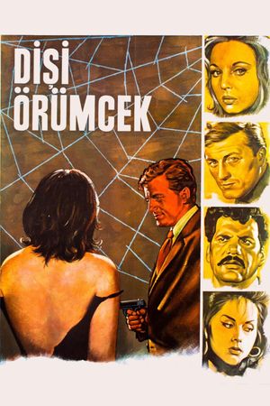 Disi örümcek's poster