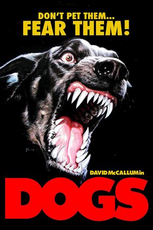 Dogs's poster