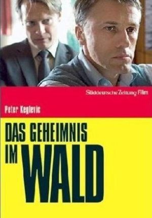 Das Geheimnis im Wald's poster