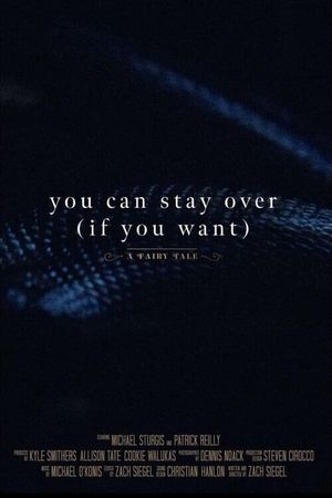 You Can Stay Over (If You Want)'s poster