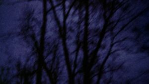Anticipation of the Night's poster