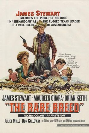 The Rare Breed's poster
