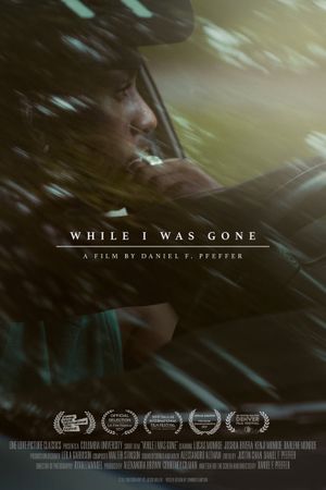 While I Was Gone's poster