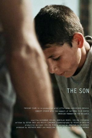 The Son's poster