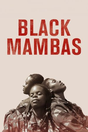 Black Mambas's poster