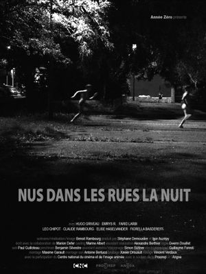 Naked in the Streets at Night's poster