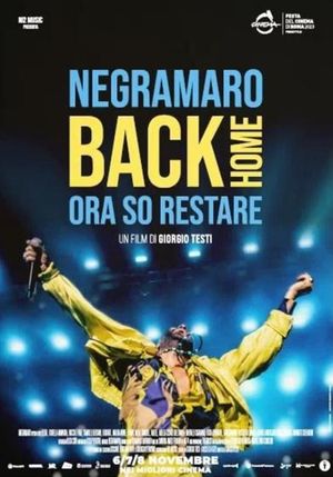 Negramaro - Back home. Ora so restare's poster image