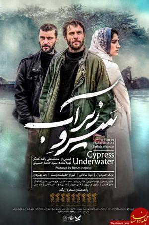 Cypress Under Water's poster