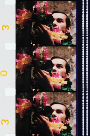 Cristo's poster